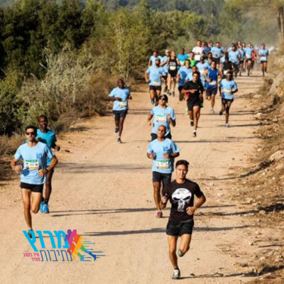 מרוץ נתיבות