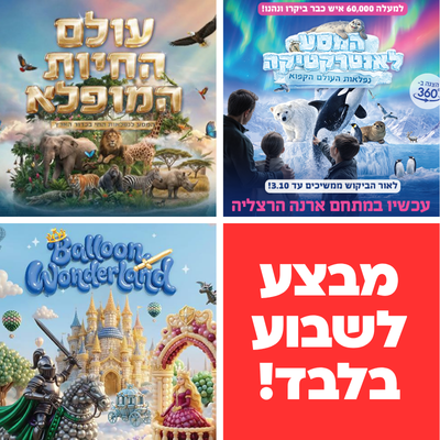 תערוכות בסוכות