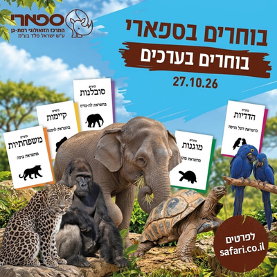 יום הבחירות בספארי