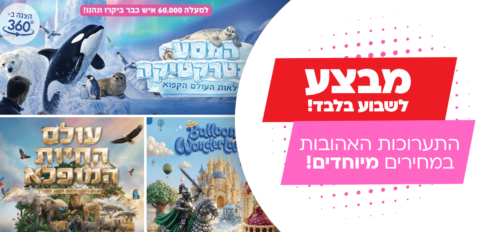 מבצע לזמן מוגבל!