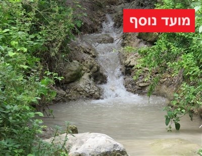 הפעילות הסתיימה