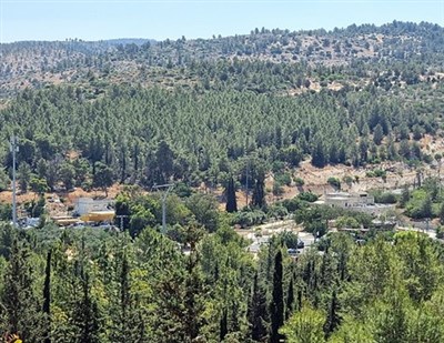 הפעילות הסתיימה