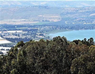 סמינריון בן יומיים