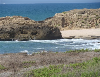 סניף ירושלים מטייל