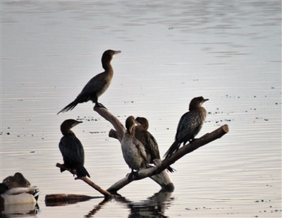 סניף ירושלים מטייל