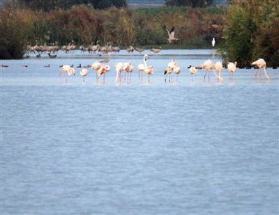 סניף ירושלים מטייל