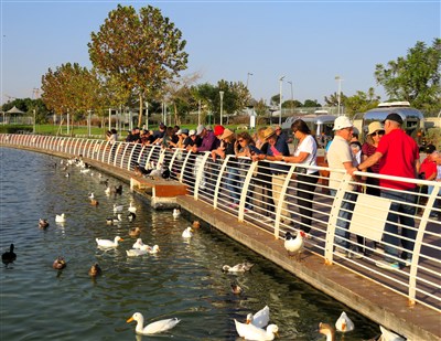 סניף ירושלים מטייל