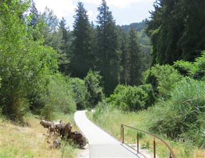 סניף ירושלים מטייל