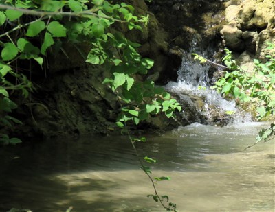 סניף ירושלים מטייל