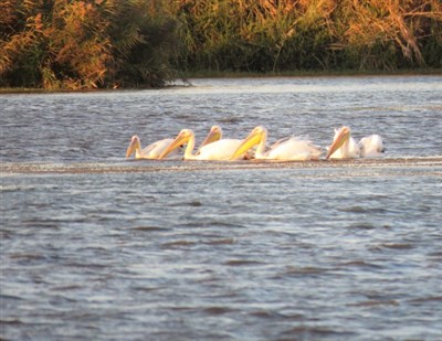 סניף ירושלים מטייל