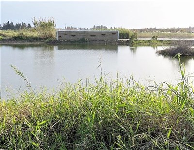 הפעילות הסתיימה