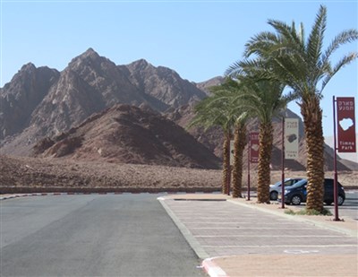 הפעילות הסתיימה