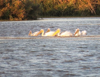 הפעילות הסתיימה