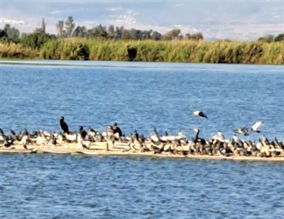 סניף גליל והעמקים מטייל