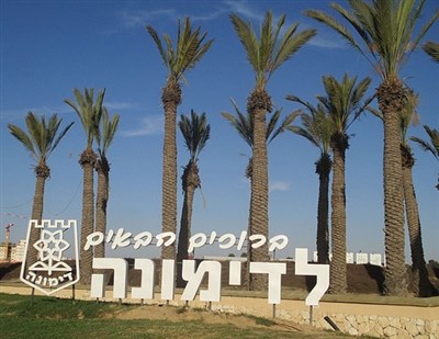 טיול לדימונה