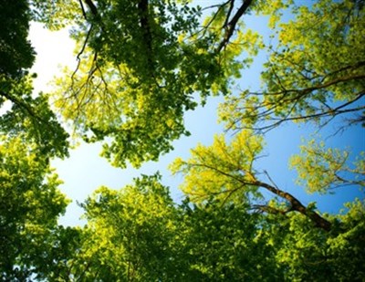 טיול למרכז הארץ