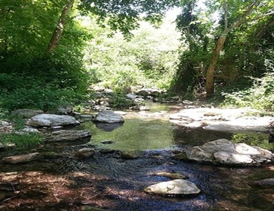 בין שבילים ונחלים