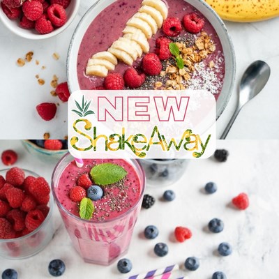 Shake away - פירות קפואים