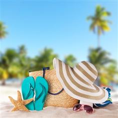 נופש וטיולים בארץ