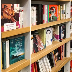 מגזינים ועיתונים