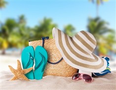 פעילויות הסניפים