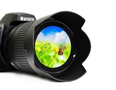 גלריית תמונות