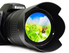 גלריית תמונות