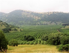 סניף ירושלים מטייל