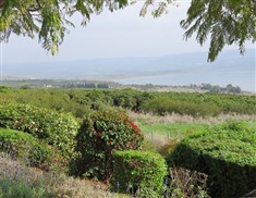 סניף ירושלים מטייל