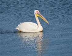 סניף ירושלים מטייל
