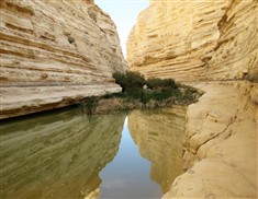 סניף ירושלים מטייל