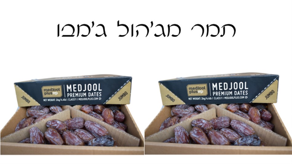 מג'הול פלוס - 2 חבילות תמר מג'הול ג'מבו קלאסיק 2 ק''ג - כולל משלוח