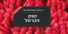 כרטיס טעימות-שוק הכרמל