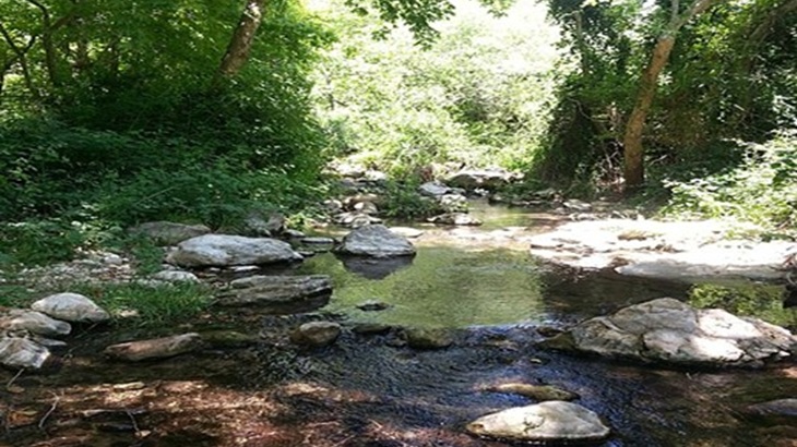 בין שבילים ונחלים