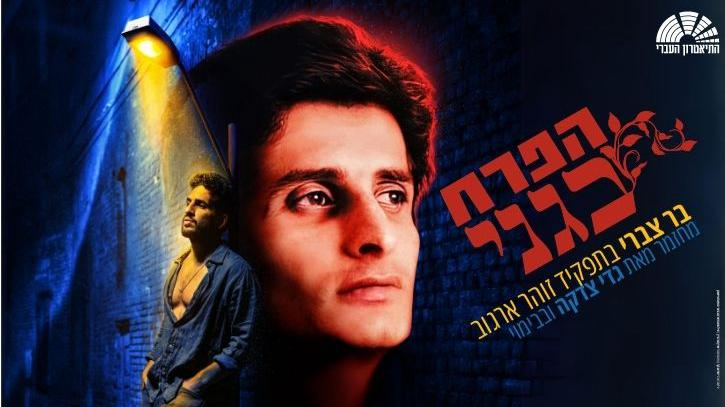 הפרח בגני - מחזמר בכיכובו של בר צברי